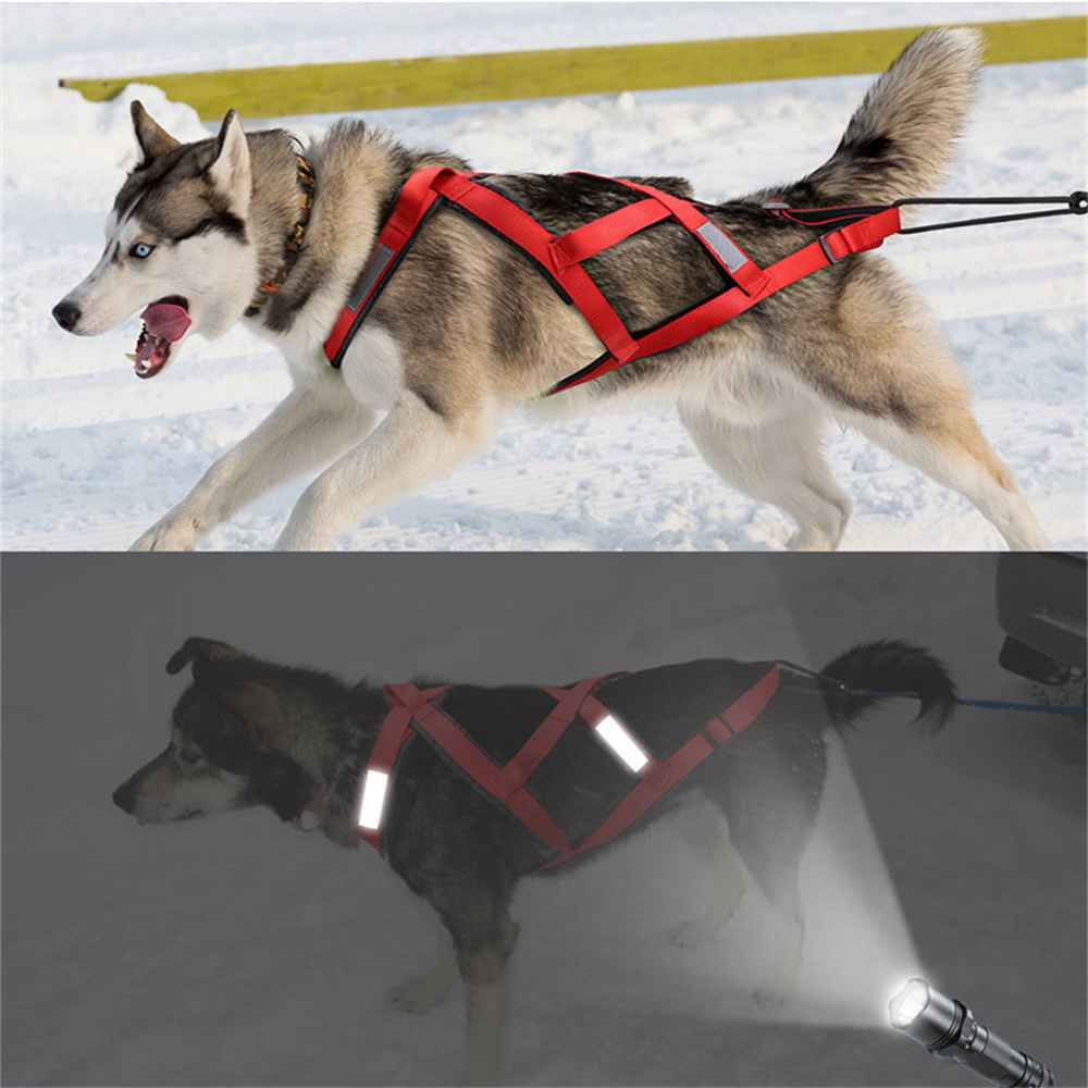 高品質大型犬用スレッジハーネス、スキー、ランニング用ペットハ - Reflective Running Jacket のレビューと価格