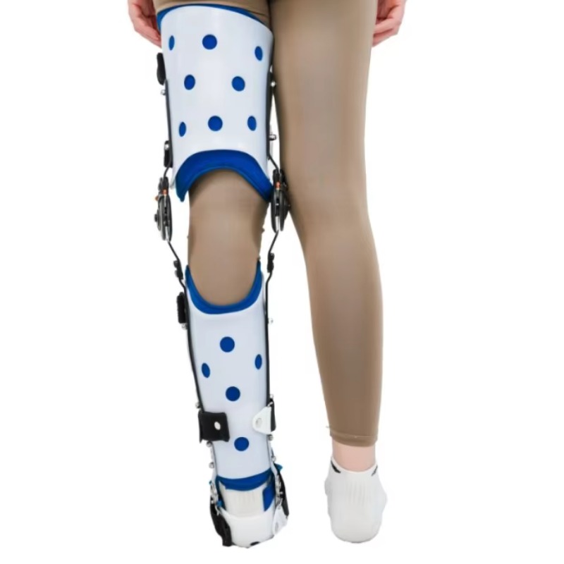 膝装具サポート関節安定化装置足首足装具ブレース股関節固定歩行 - Knee Support Brace のレビューと価格